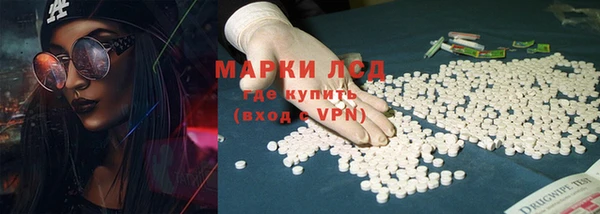 гашик Новокубанск