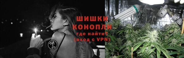 дурь Нягань