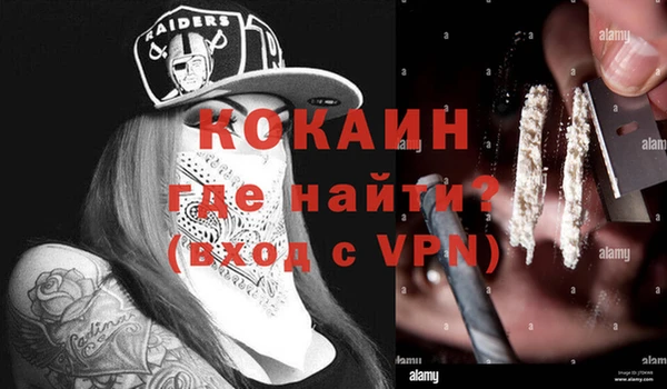 гашик Новокубанск