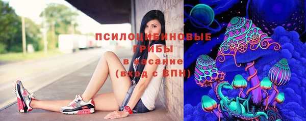 кокаин колумбия Новозыбков