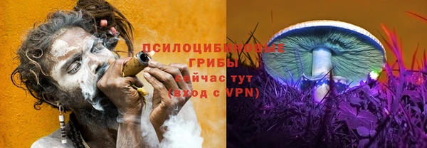 марки nbome Новодвинск