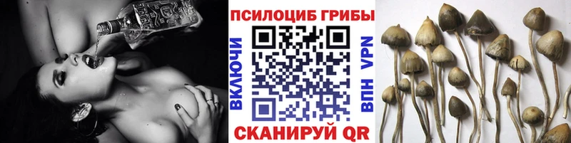 где продают наркотики  дарк нет Telegram  mega ССЫЛКА  Галлюциногенные грибы прущие грибы  Ликино-Дулёво 